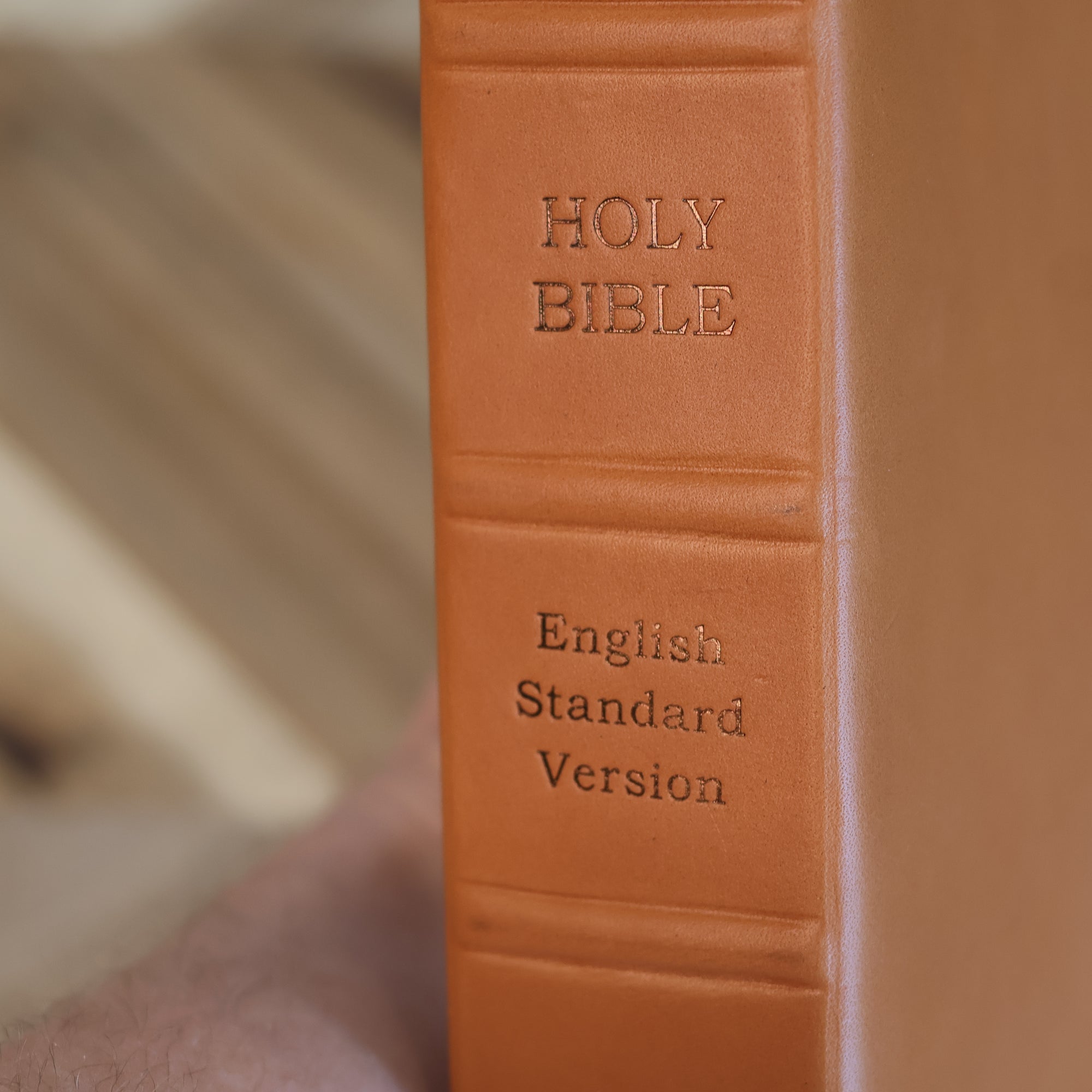 Custom Bible Rebinding (Deposit)